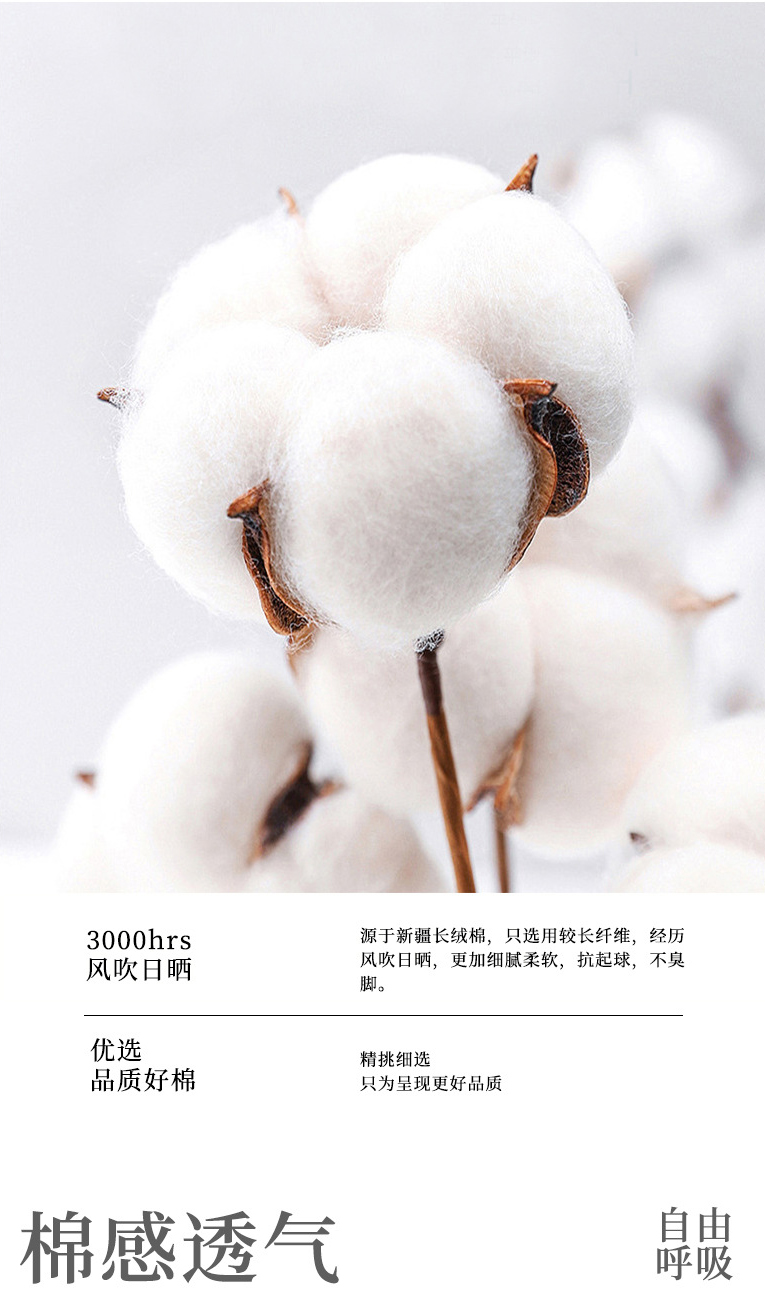 BOMOER铂缦商务抗菌防臭袜子